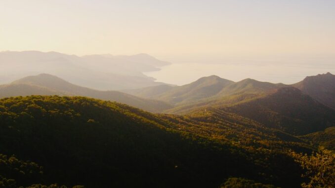 uploaded-image-el-yazisi-harf-stilleri-ve-ozgunluk-1697373573993