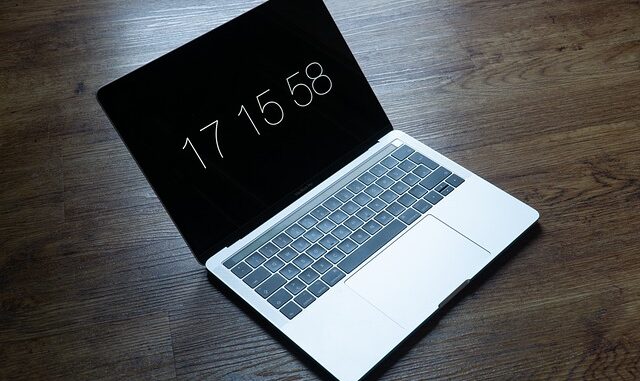 13. Ünye'nin Ekonomik Yapısı 13. Ünye'nin Ekonomik Yapısı